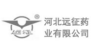 河北远征药业有限公司