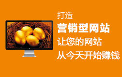 打造营销型网站